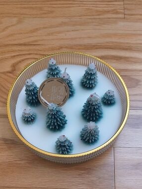 Aspen Pine Figural Tree Candle In Dish 18oz NWT- Open Box